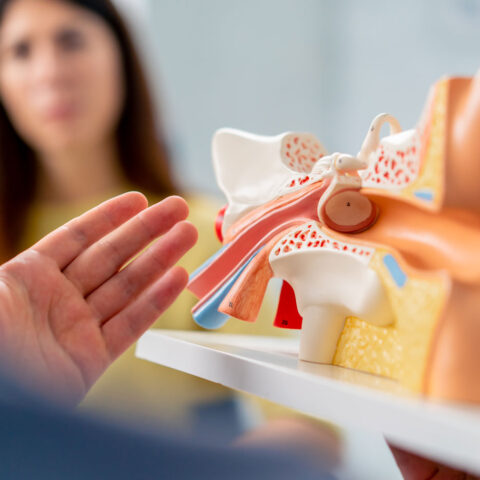 ic-dudak-sekillendirme